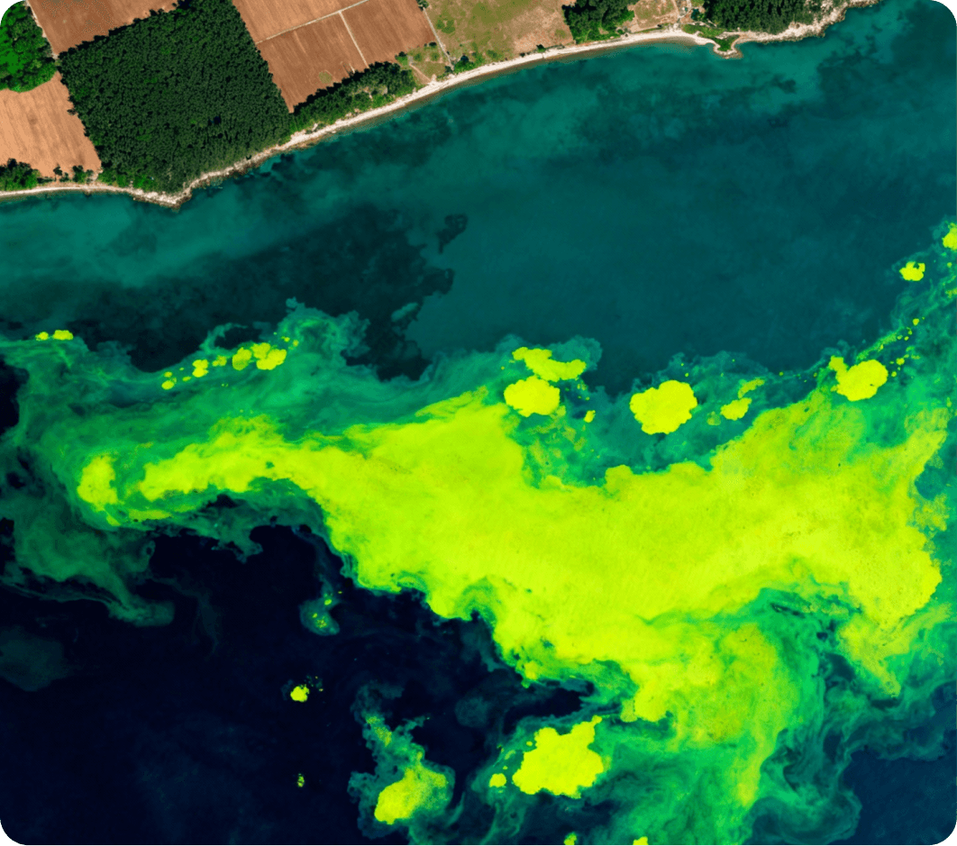 Environmental Monitoring