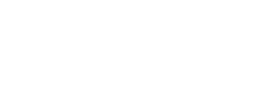 UNM Logo
