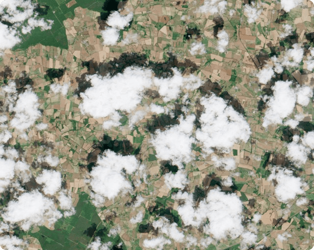 Object Detection & Segmentation